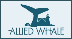 794_allied-whale-logo.rev.1437574259