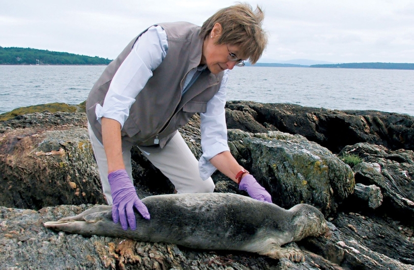 Dr. Susan Shaw with dead seal