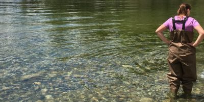 bacteria monitoring in the water