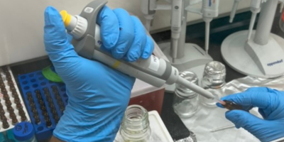 plastic analysis